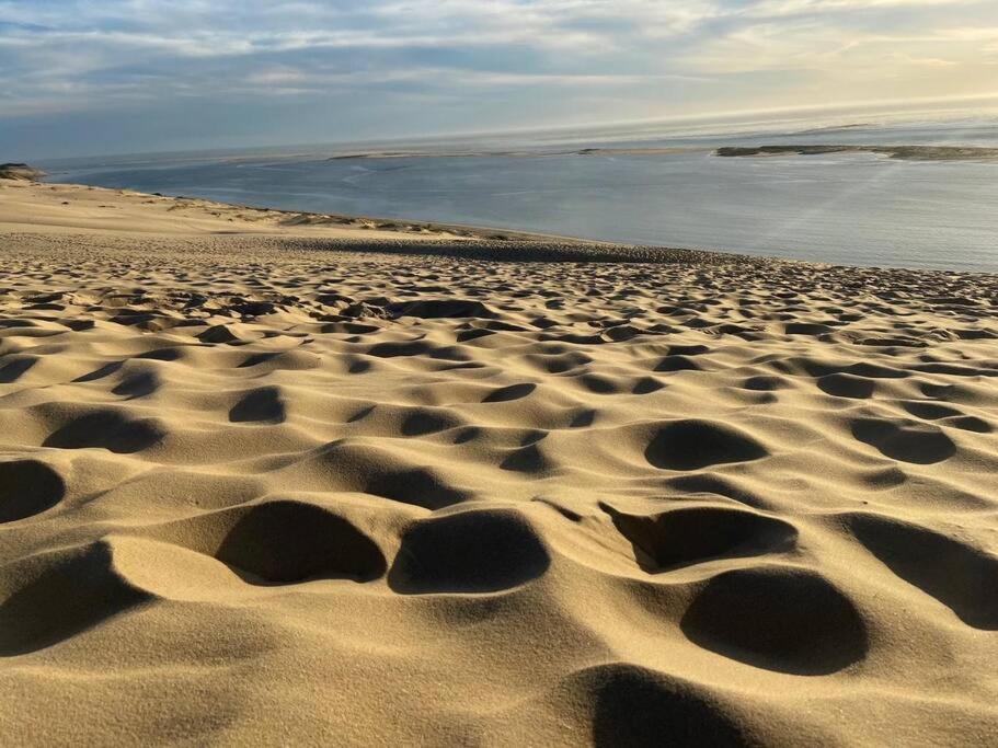 Villa Arcachon 12 Pers Avec Piscine Chauffee 1 Mai Au 30 Sept Ngoại thất bức ảnh